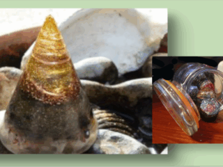 crystal-cones