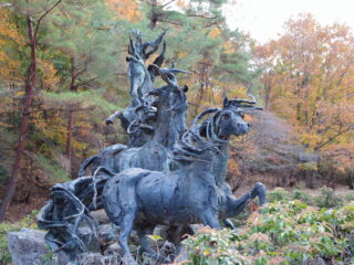 Simon-Horses
